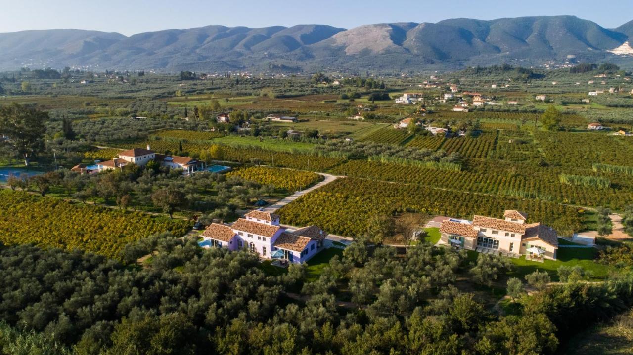 Aneli Luxury Villas - Villa Semeli Áyios Kírikos Exteriör bild