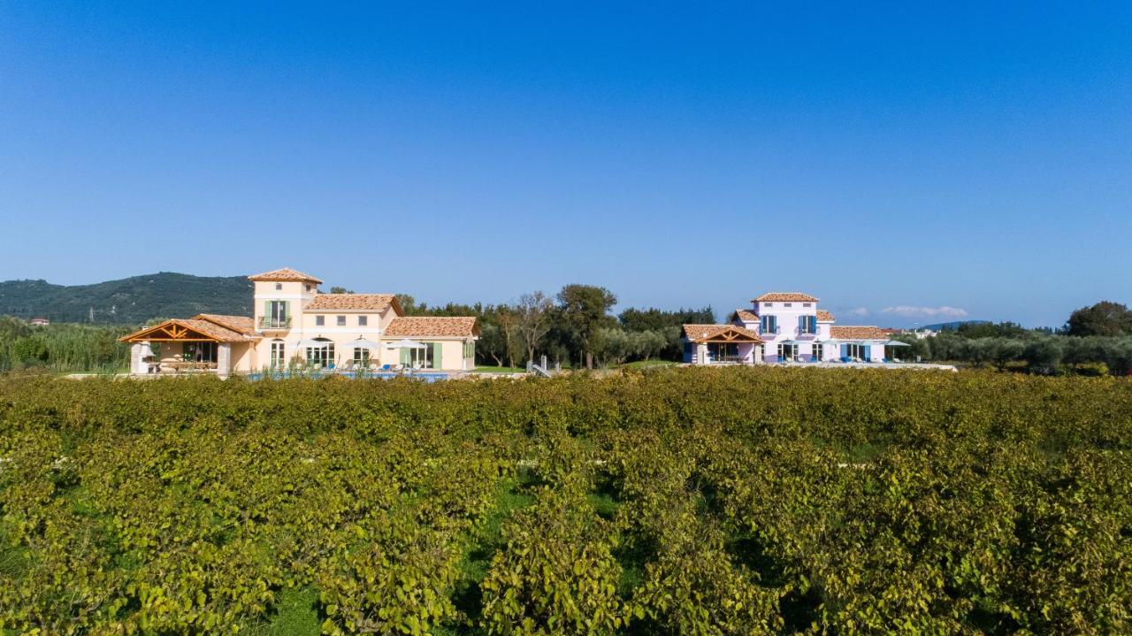 Aneli Luxury Villas - Villa Semeli Áyios Kírikos Exteriör bild
