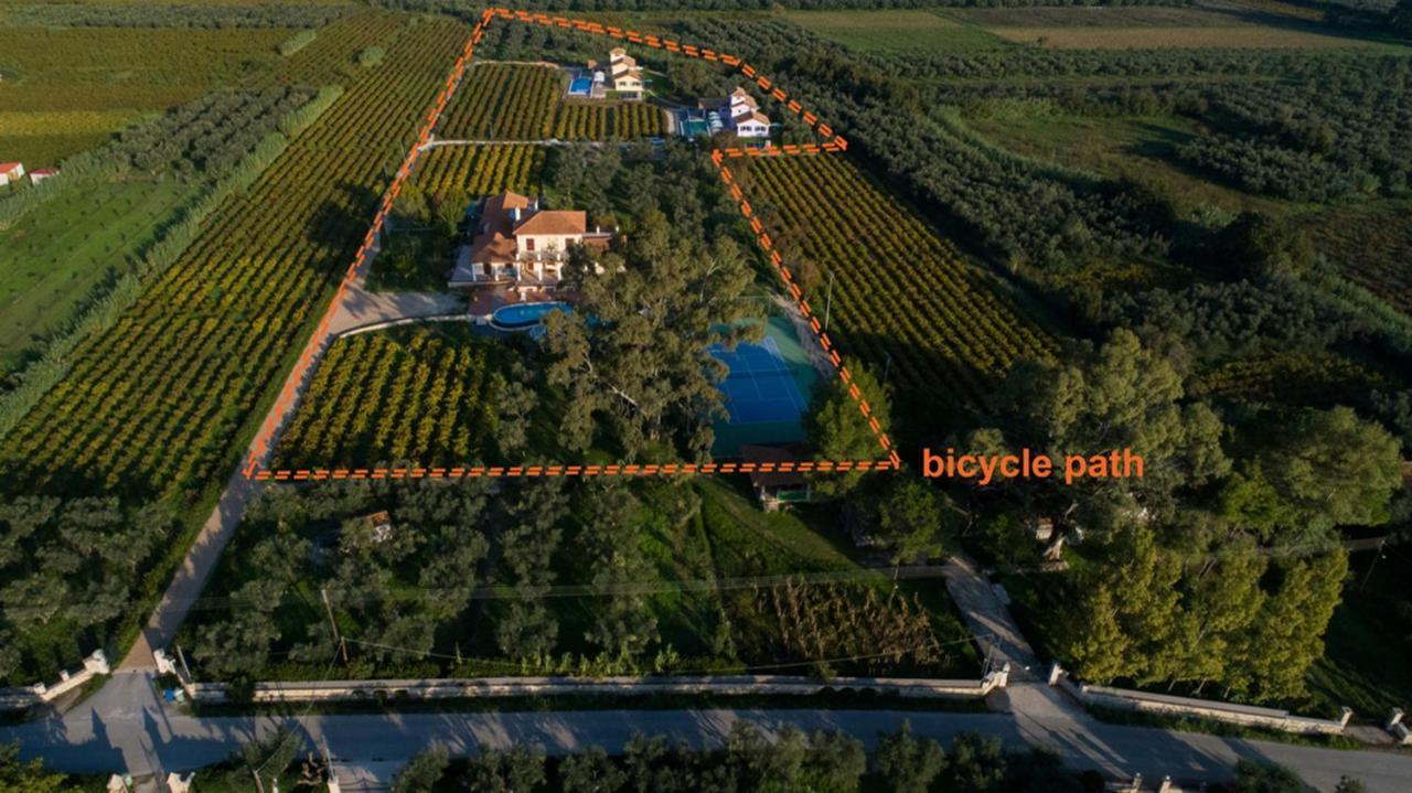 Aneli Luxury Villas - Villa Semeli Áyios Kírikos Exteriör bild